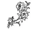 8096.png