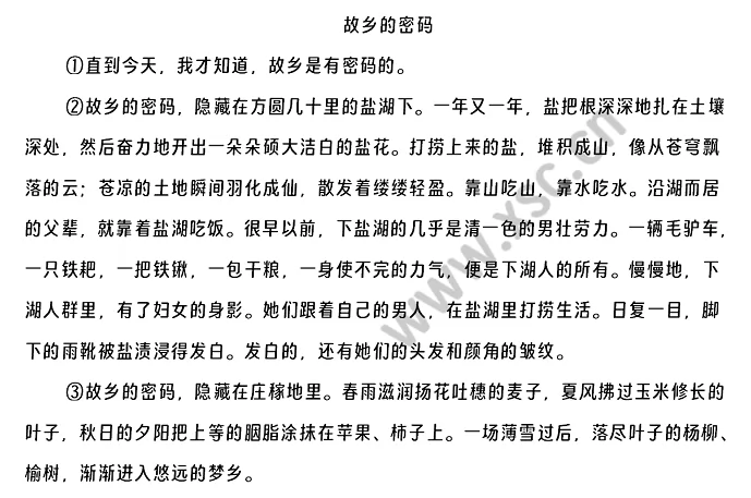 《故乡的密码》原文 (1).png