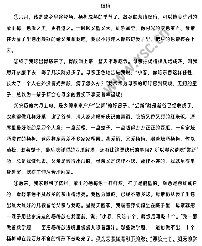 《杨梅》 (1).webp