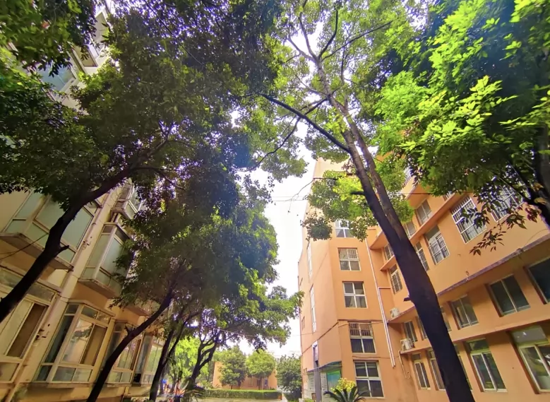 成都市武侯区光明学校收费标准(学费)及学校简介