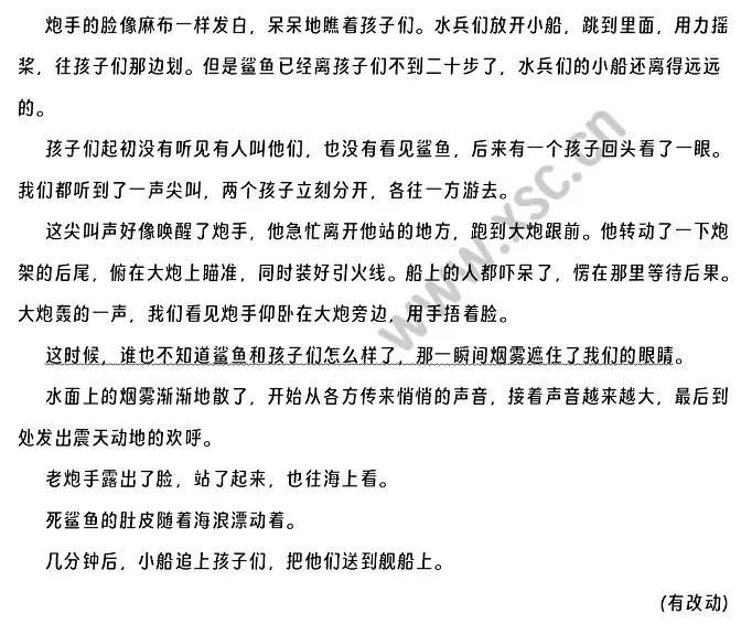 鲨鱼 (2).webp