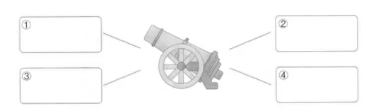 XSC524.jpg