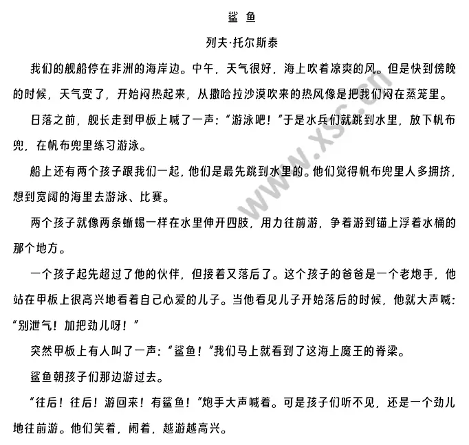 鲨鱼 (1).webp