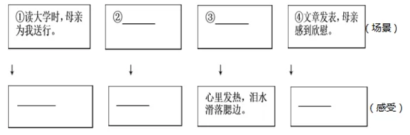 XSC544.jpg