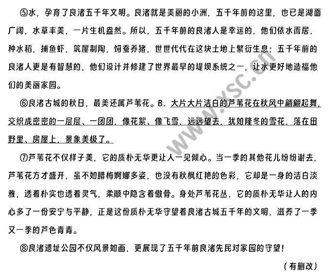 如画风景印象良渚 (2).webp