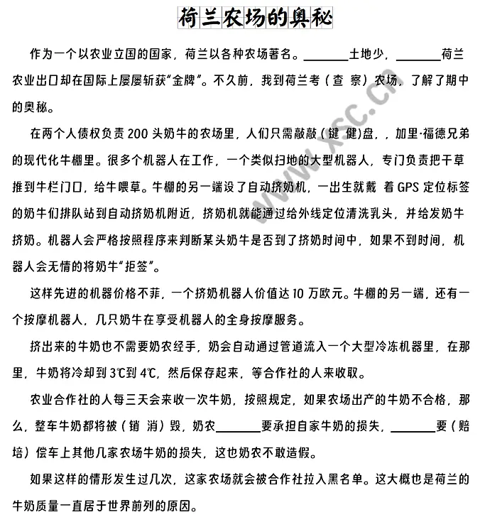 荷兰农场的奥秘.webp