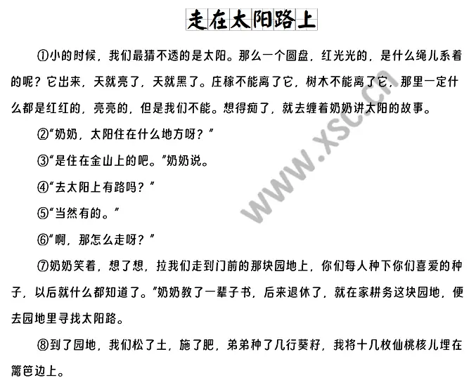 走在太阳路上 (1).webp