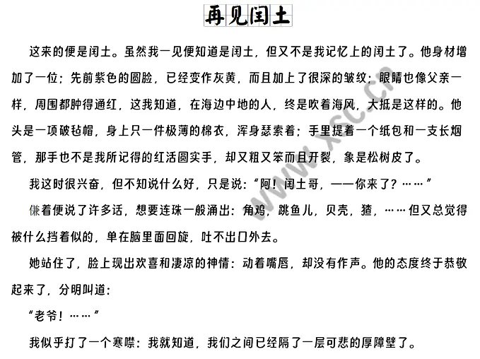 再见闰土.webp