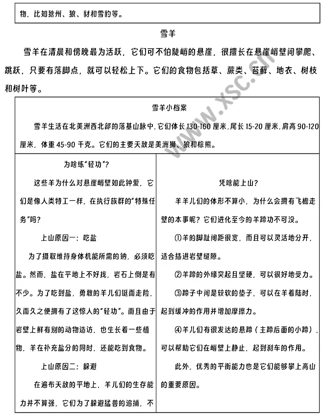 这些羊会“轻功” (2).webp