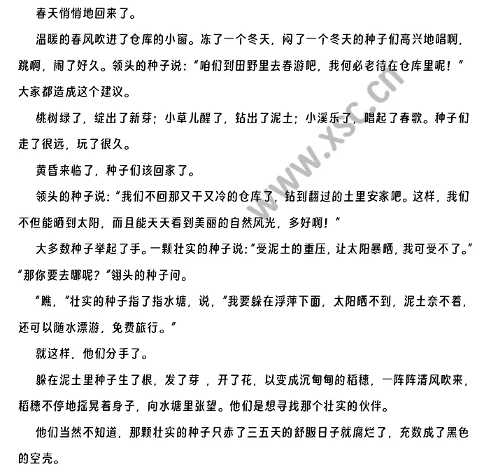 《种子安家》.webp