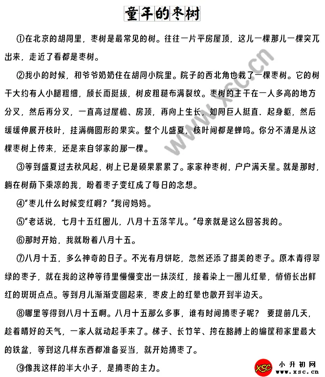 童年的枣树.webp