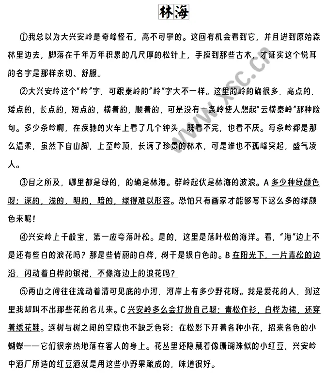 林海 (1).webp
