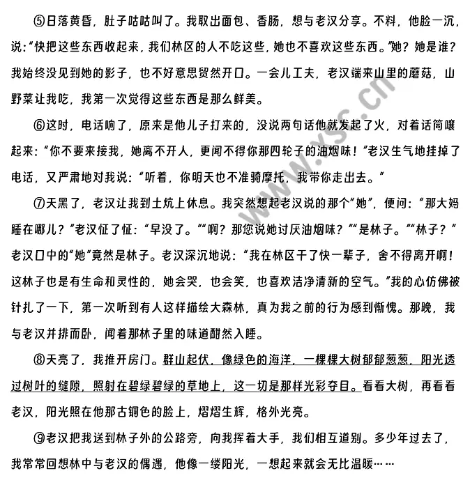 林中偶遇 (2).webp
