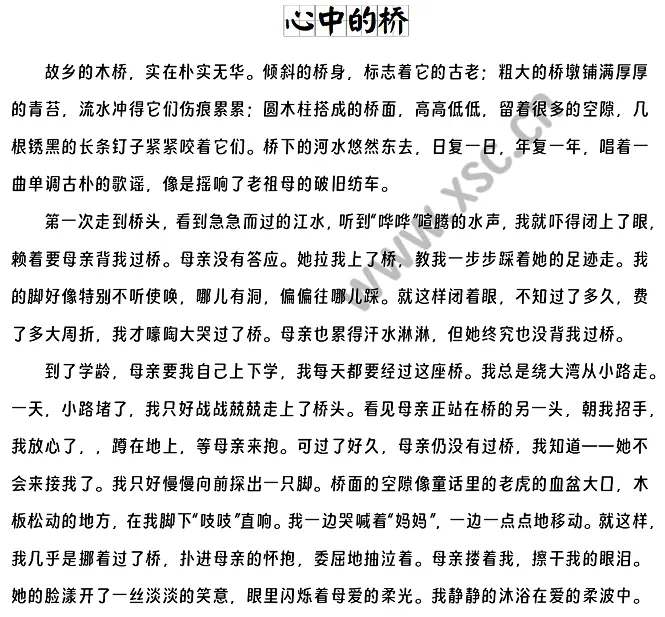 心中的桥 (1).webp