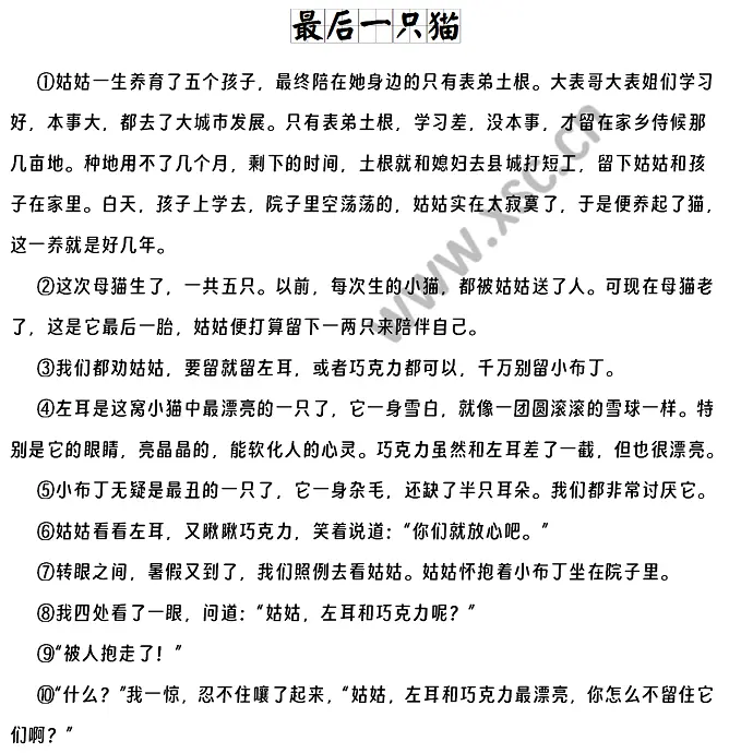 最后一只猫 (1).webp