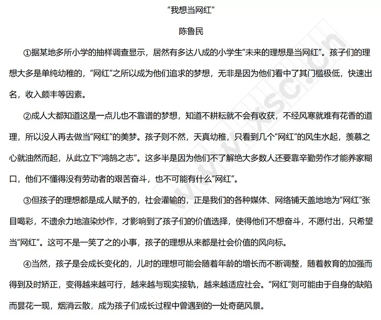 《我想当网红》