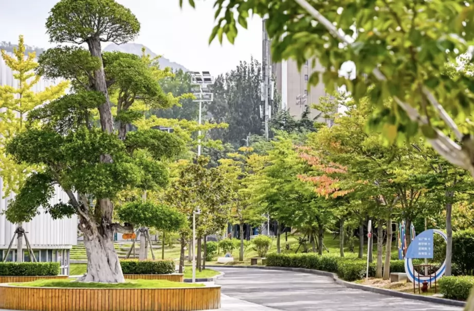 2025年青岛市崂山区金家岭学校春季招生入学登记公告