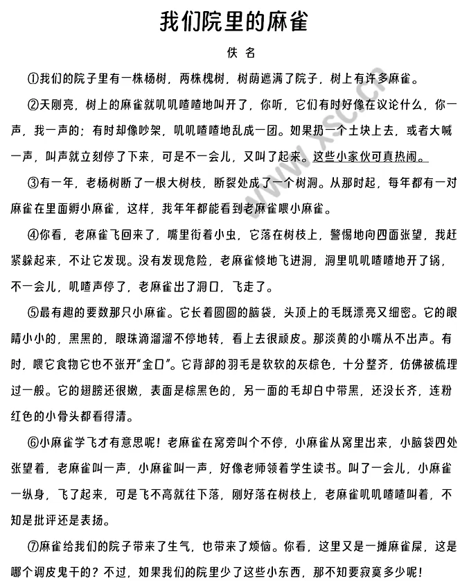 我们院里的麻雀