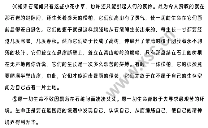 石缝间的生命1