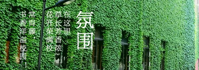 张家港市常青藤实验学校