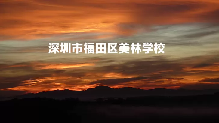 深圳市福田区美林学校