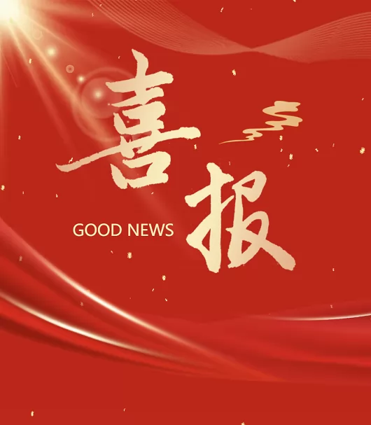 阳江市江城星鹏中英文学校中考喜报