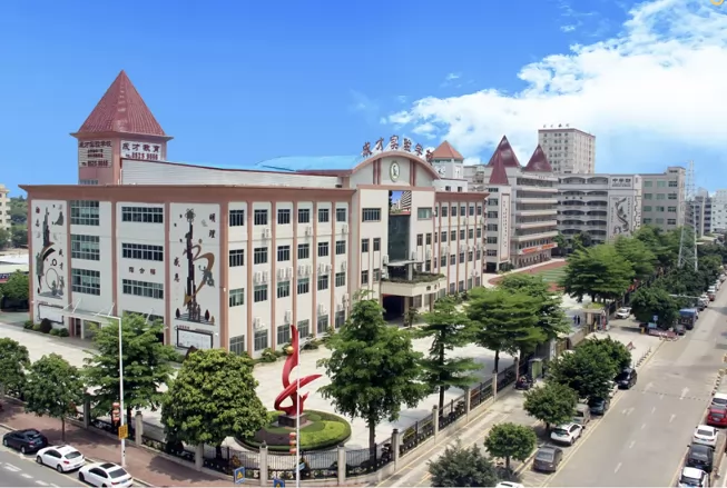 东莞市虎门成才实验学校