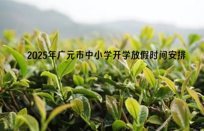 2025年广元市中小学开学放假时间安排(寒暑假校历)