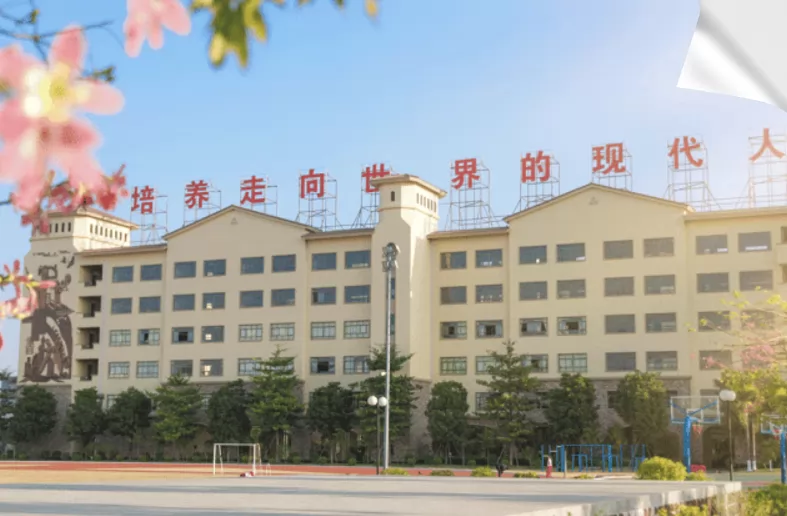 2025年肇庆市龙涛外国语学校春季插班生招生简章及收费标准