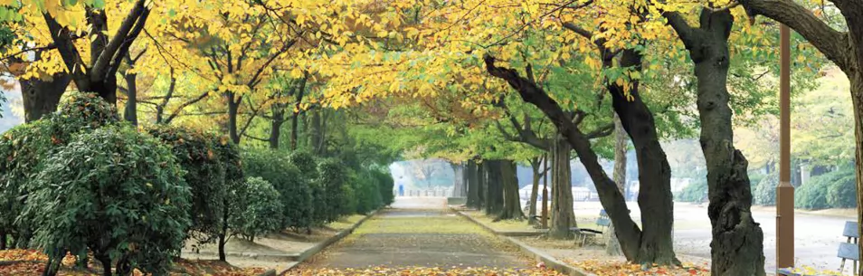 上实剑桥外国语中学收费标准(学费+住宿费)及学校简介