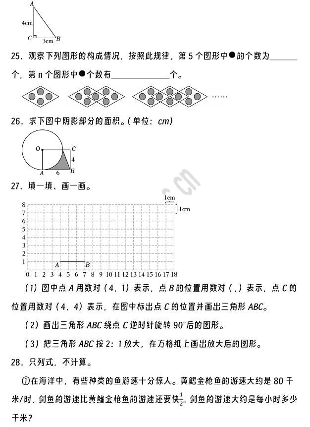 2024-2025年荆州市沙市区小升初数学考试试卷5