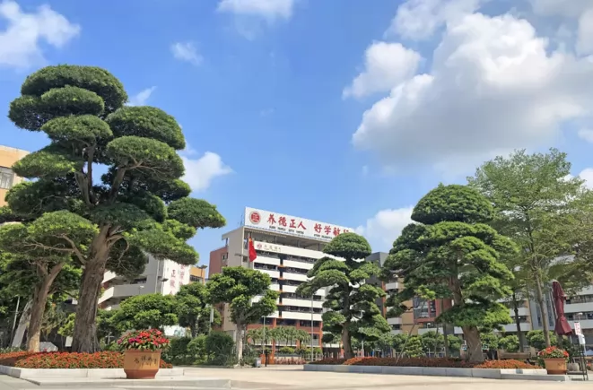 佛山市顺德养正学校