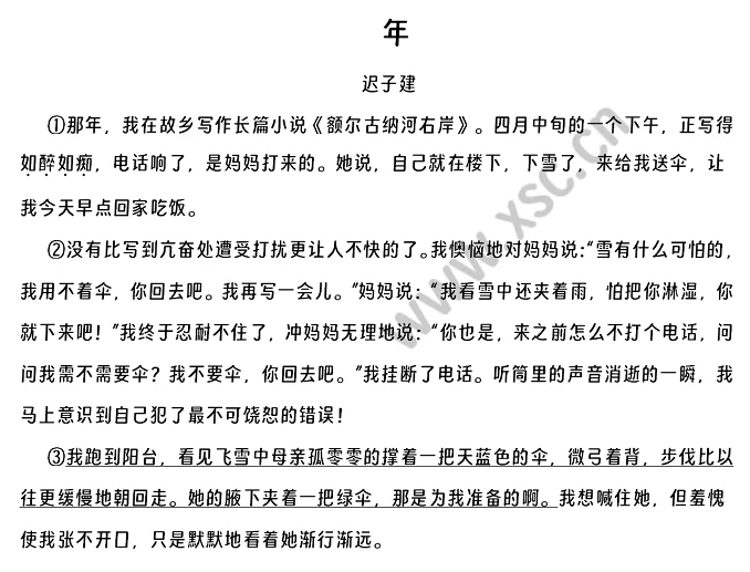 迟子建《年》