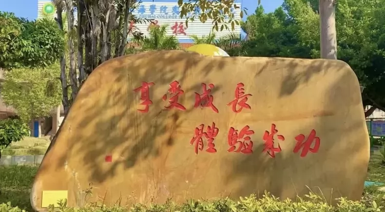 2025年东莞市谢岗振华学校春季插班生招生简章
