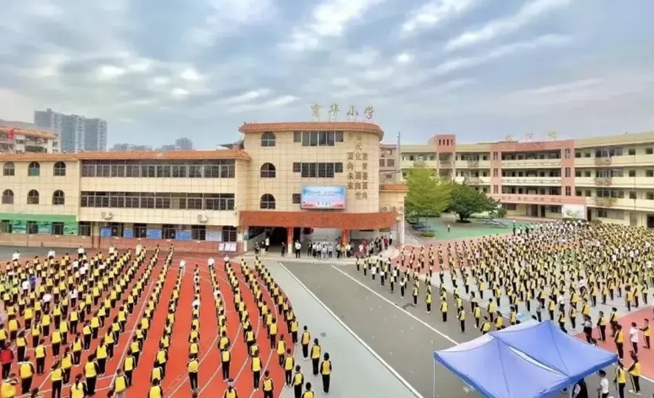东莞市万江育华小学收费标准(学费+伙食费)及学校简介