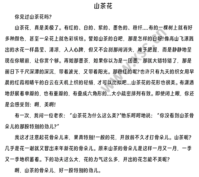 《山茶花》原文