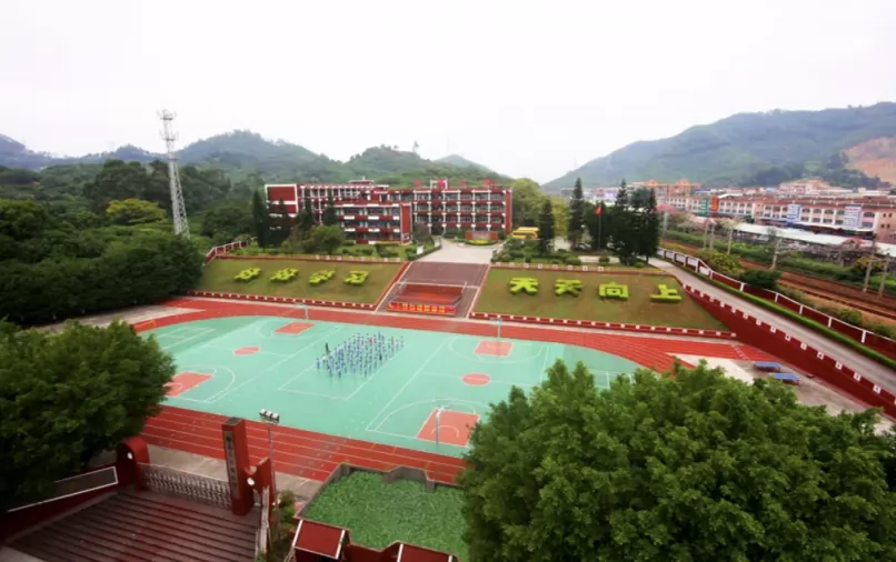 2025年东莞市樟木头百顺小学春季插班生招生简章