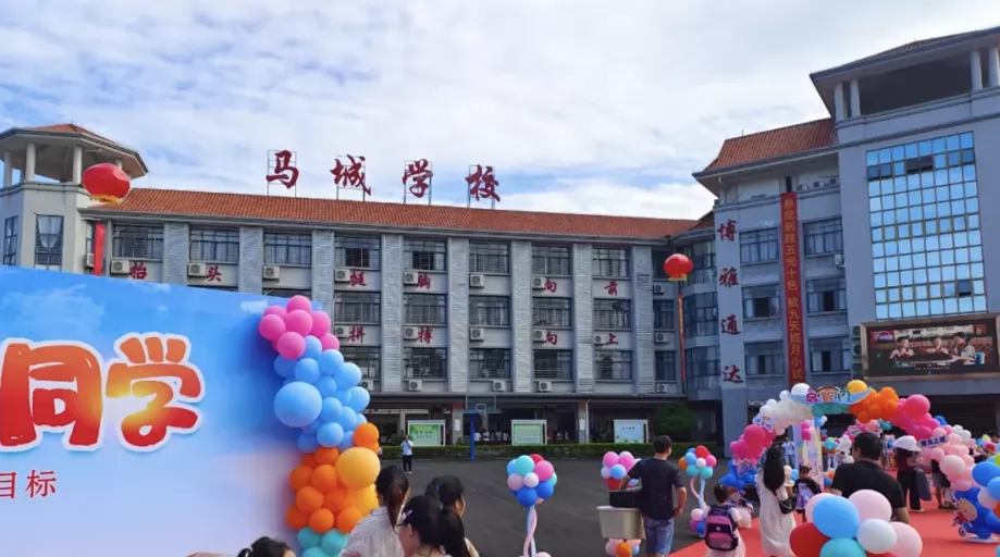 2025年东莞市虎门马城学校春季插班生招生简章