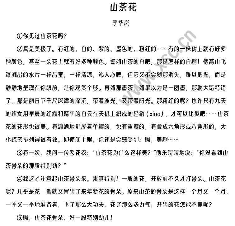 《山茶花》阅读理解题及答案(阅读答案二)