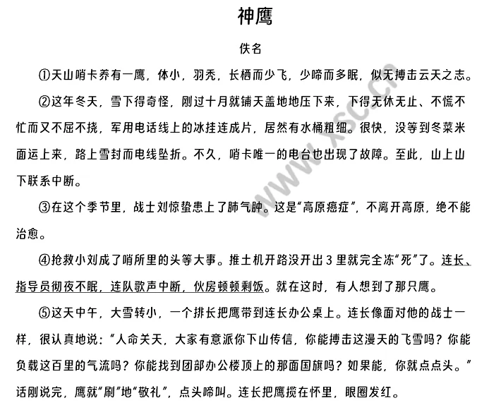 《神鹰》原文1