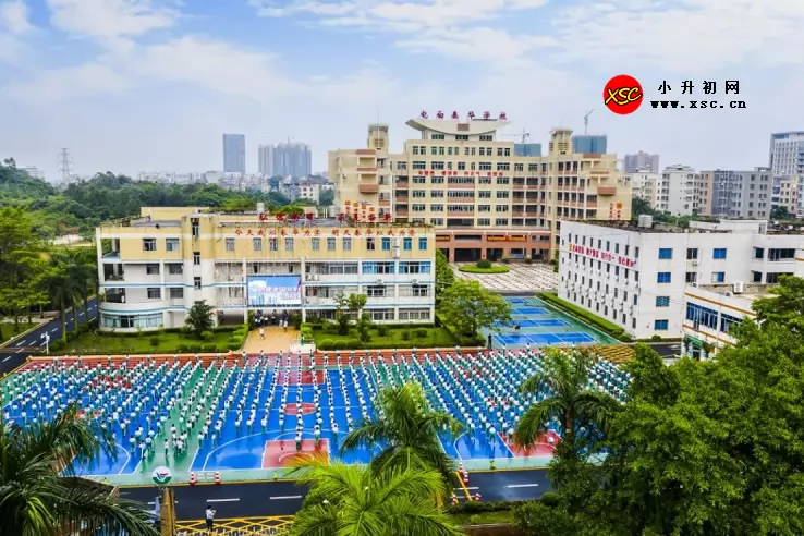 电白春华学校