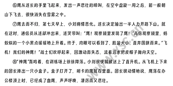 《神鹰》原文2
