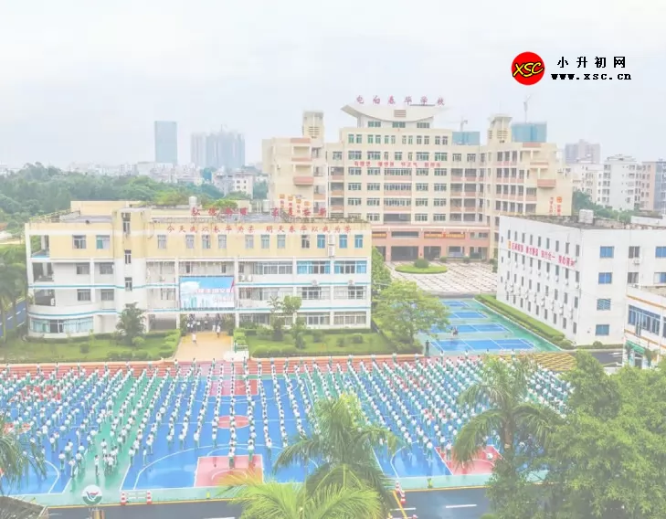 电白春华学校