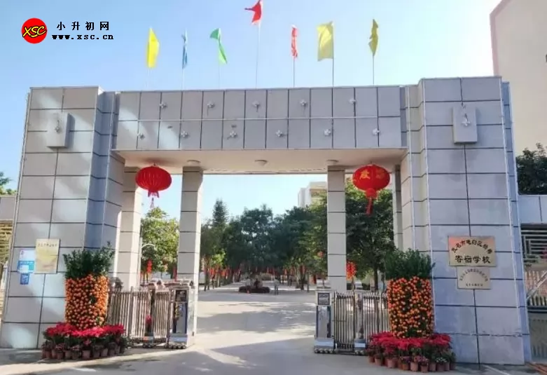 电白区杨梅寄宿学校