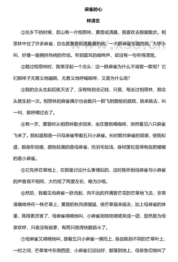《麻雀的心》