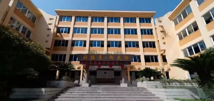 青田县启文实验学校