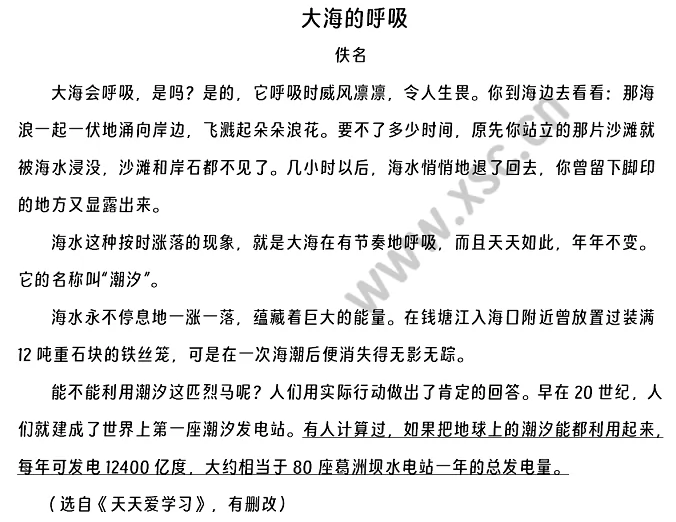 《大海的呼吸》原文