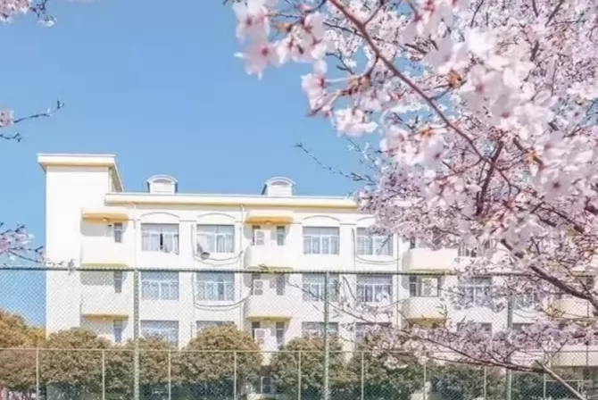 2025年上海市民办德英乐实验学校春季插班生招生简章