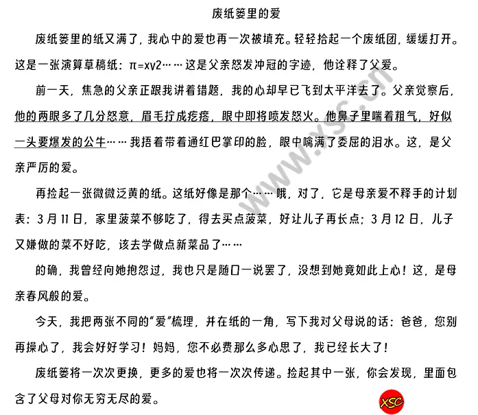 废纸篓里的爱.webp