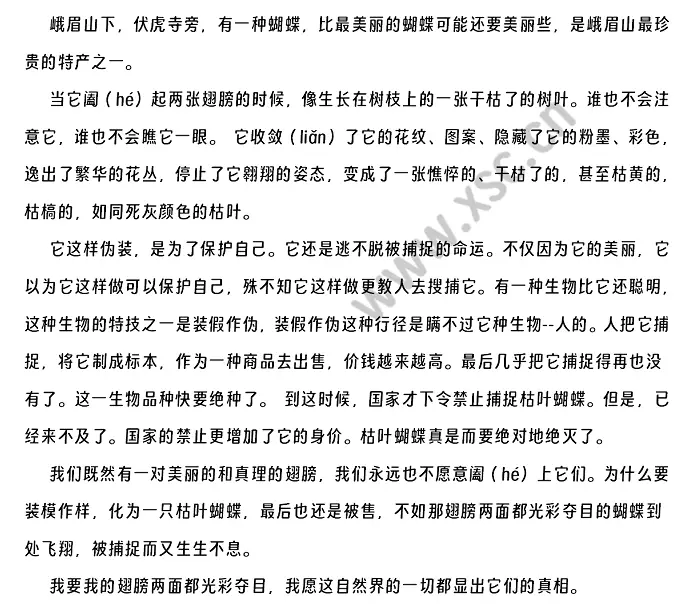 枯叶蝴蝶